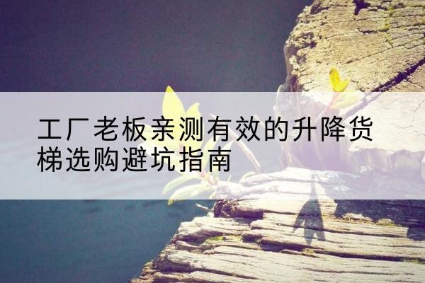 泗水升降货梯怎么选-工厂老板亲测有效的升降货梯选购避坑指南