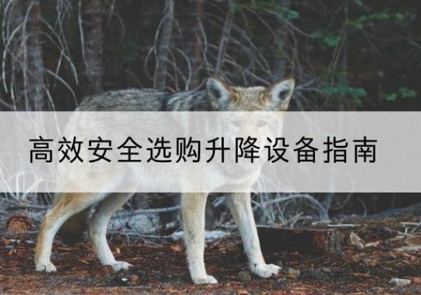 泗水升降货梯厂家推荐-*安全选购升降设备指南
