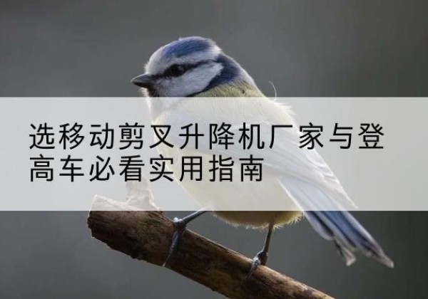 泗水电动升降机厂家-选移动剪叉升降机厂家与登高车必看实用指南