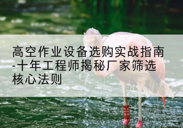 泗水剪叉式升降机厂家-高空作业设备选购实战指南-十年工程师揭秘厂家筛选核心法则