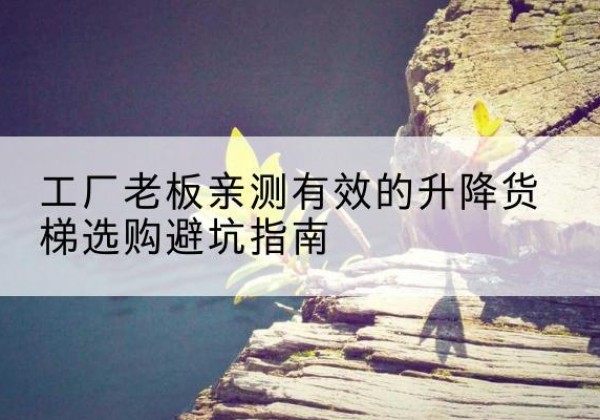 泗水升降货梯怎么选-工厂老板亲测有效的升降货梯选购避坑指南